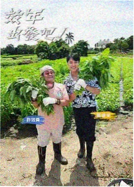手机光棍影院音乐综艺舞台之外